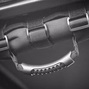 Roll bar grab handle