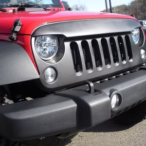 Aggressive Hawk Eyes Grill